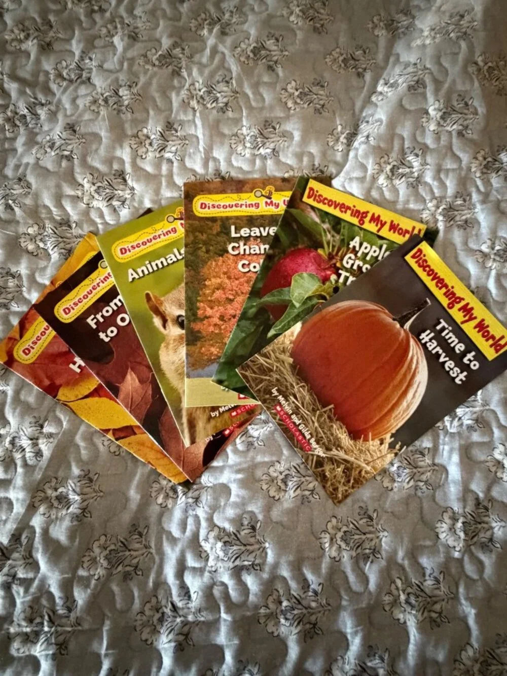 Set of 6 Discovery books